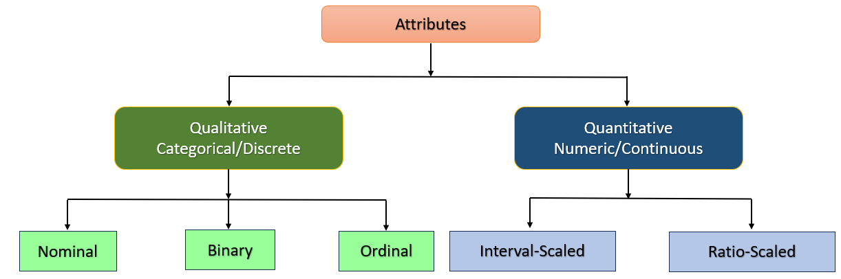 diffrent attribute types in data mining