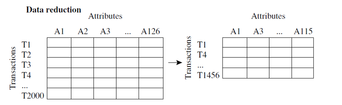 Data Reduction in Data Mining