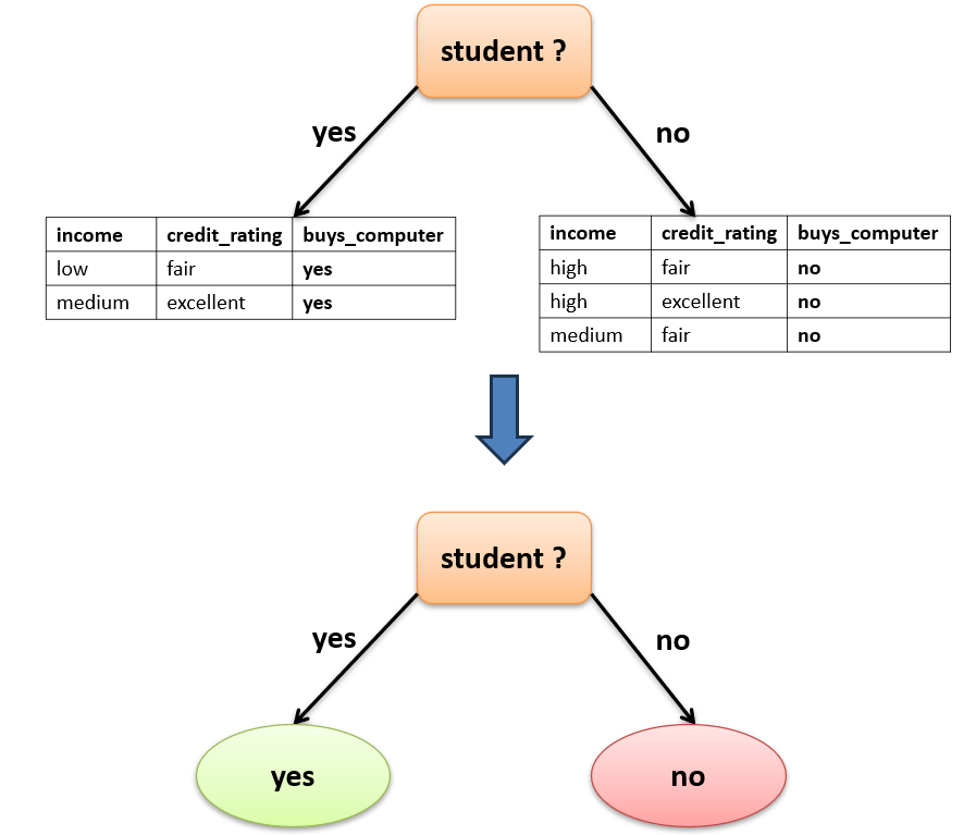 Splitting the youth partition on student: student yes gives leaf yes and student no gives leaf no