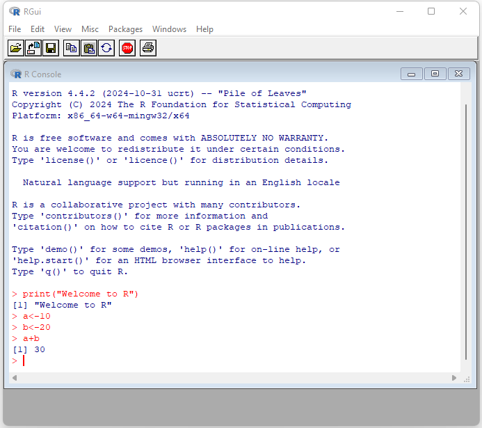 RGui console window after opening R 4.4.2 from the Start Menu
