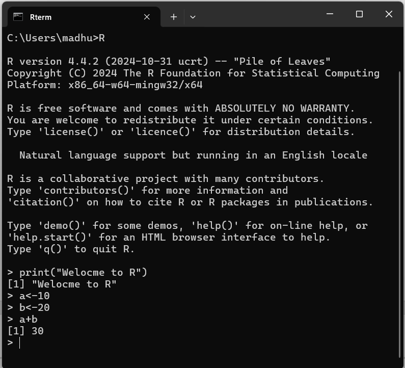 Windows command prompt showing the R interpreter after typing R